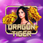 Dragon Tiger funbingo casino game